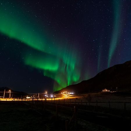 Arctic Lodge Tromvik With Jacuzzi Tromso Luaran gambar