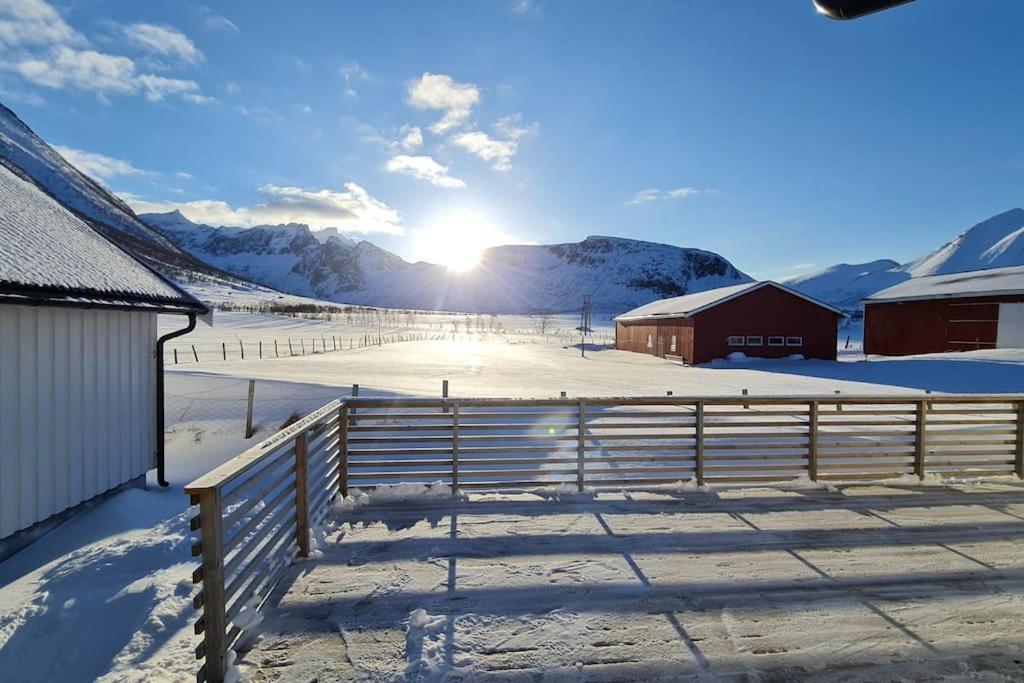 Arctic Lodge Tromvik With Jacuzzi Tromso Luaran gambar