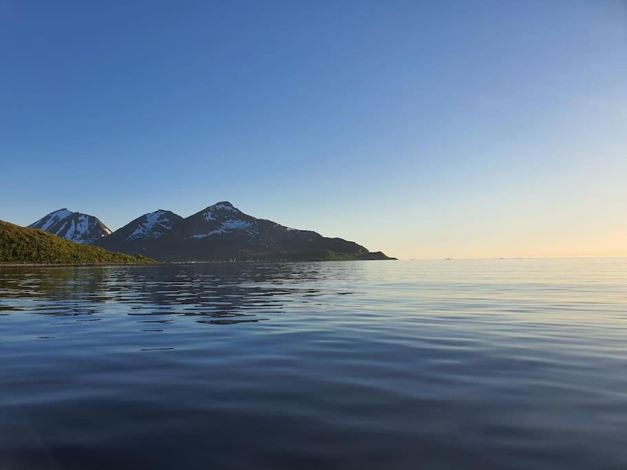 Arctic Lodge Tromvik With Jacuzzi Tromso Luaran gambar
