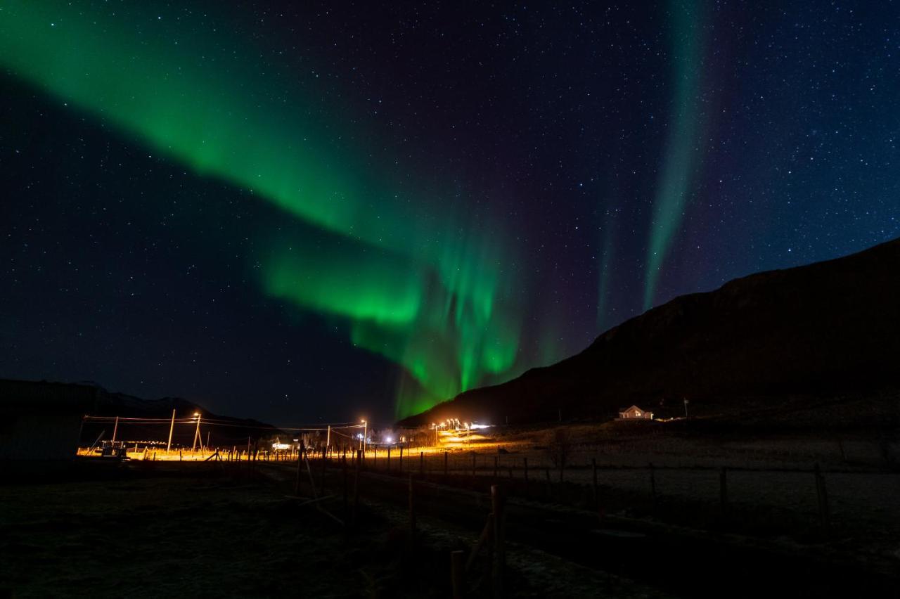Arctic Lodge Tromvik With Jacuzzi Tromso Luaran gambar
