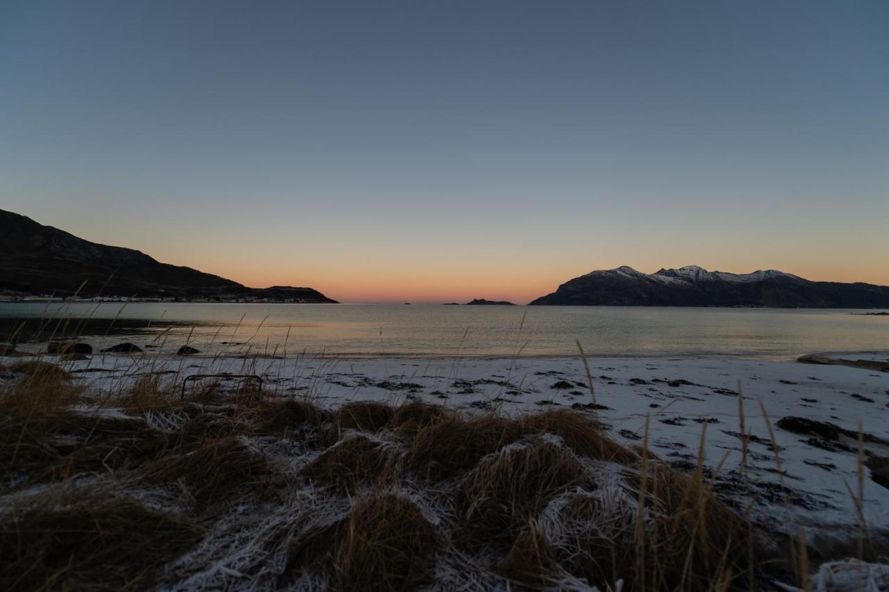 Arctic Lodge Tromvik With Jacuzzi Tromso Luaran gambar